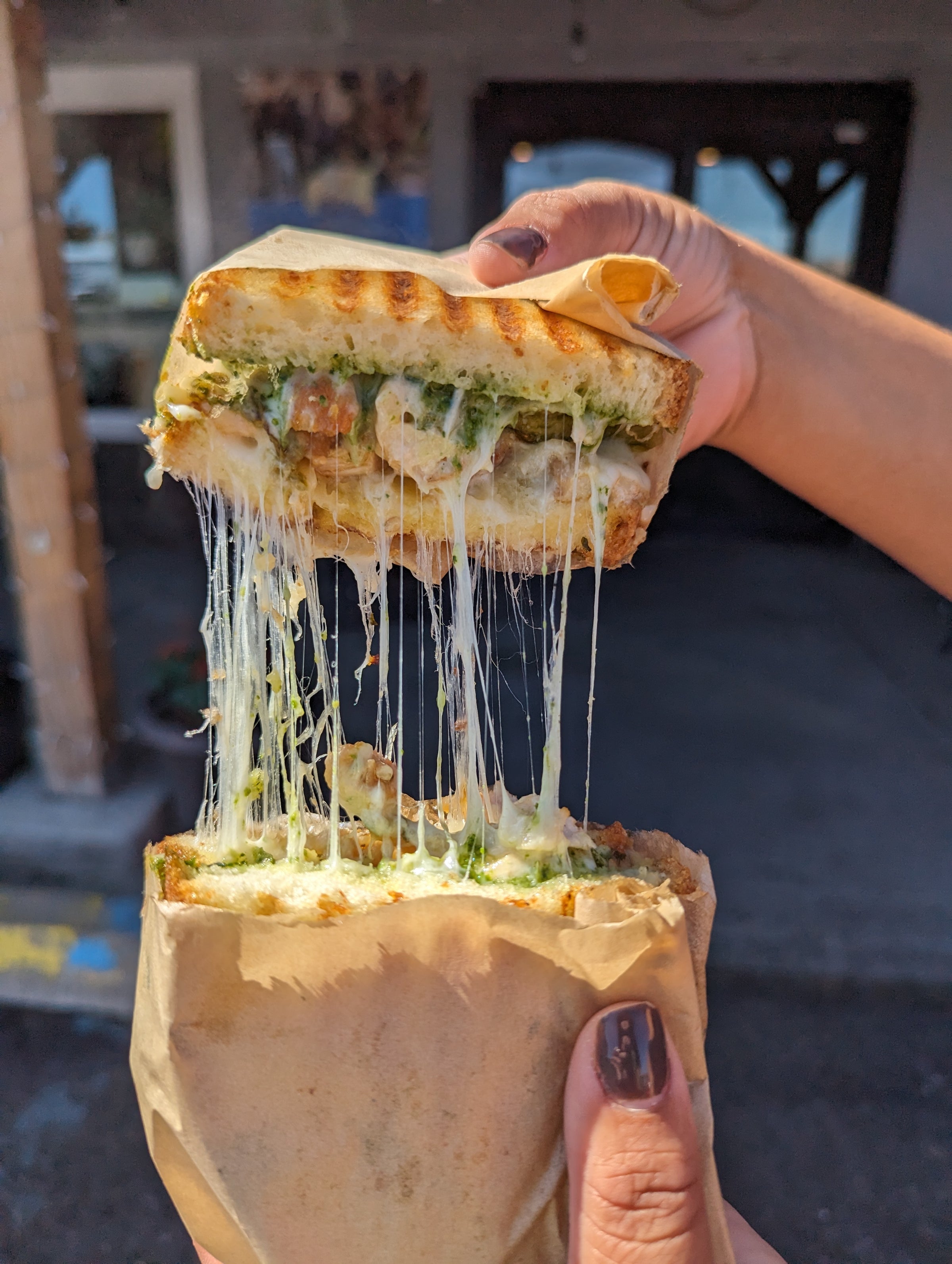 Chicken Alfredo Panini | Fiddle's Lunch Box